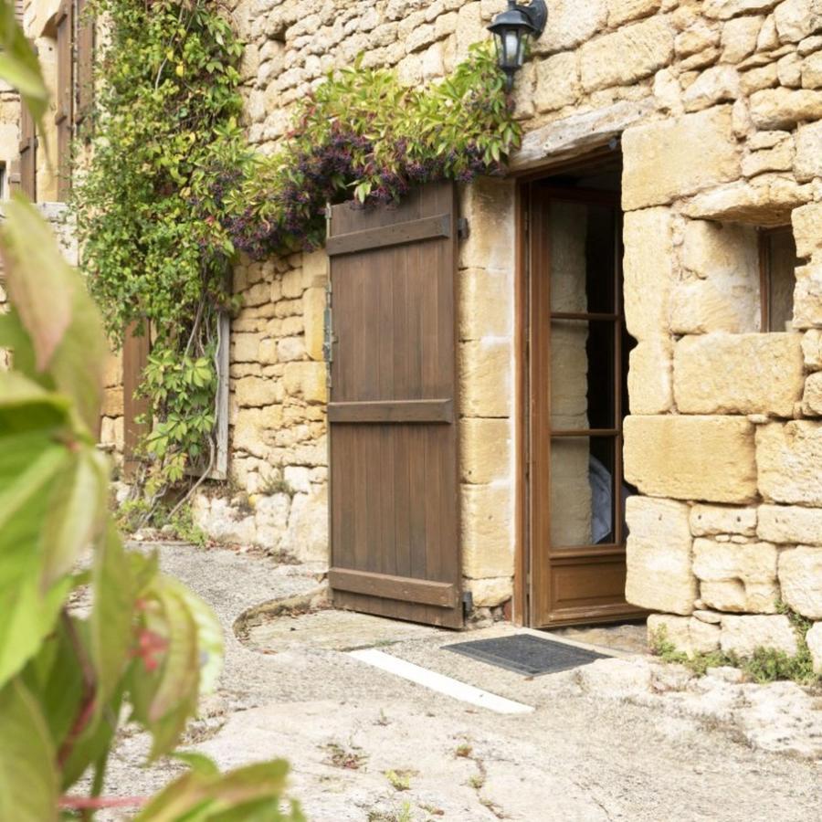 Domaine De Cantegrel - Gites De Charme Et Suite Troglodyte En Perigord فيتراك المظهر الخارجي الصورة