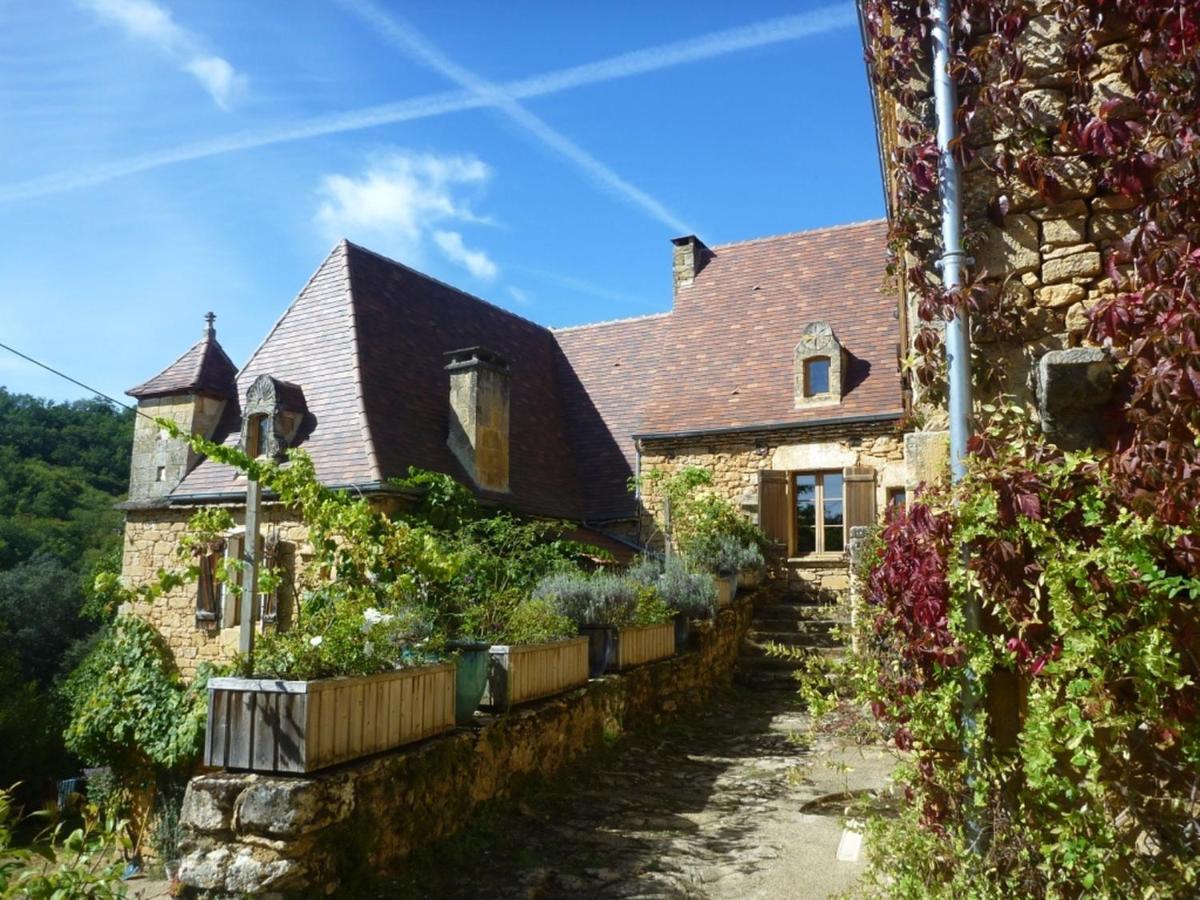 Domaine De Cantegrel - Gites De Charme Et Suite Troglodyte En Perigord فيتراك المظهر الخارجي الصورة
