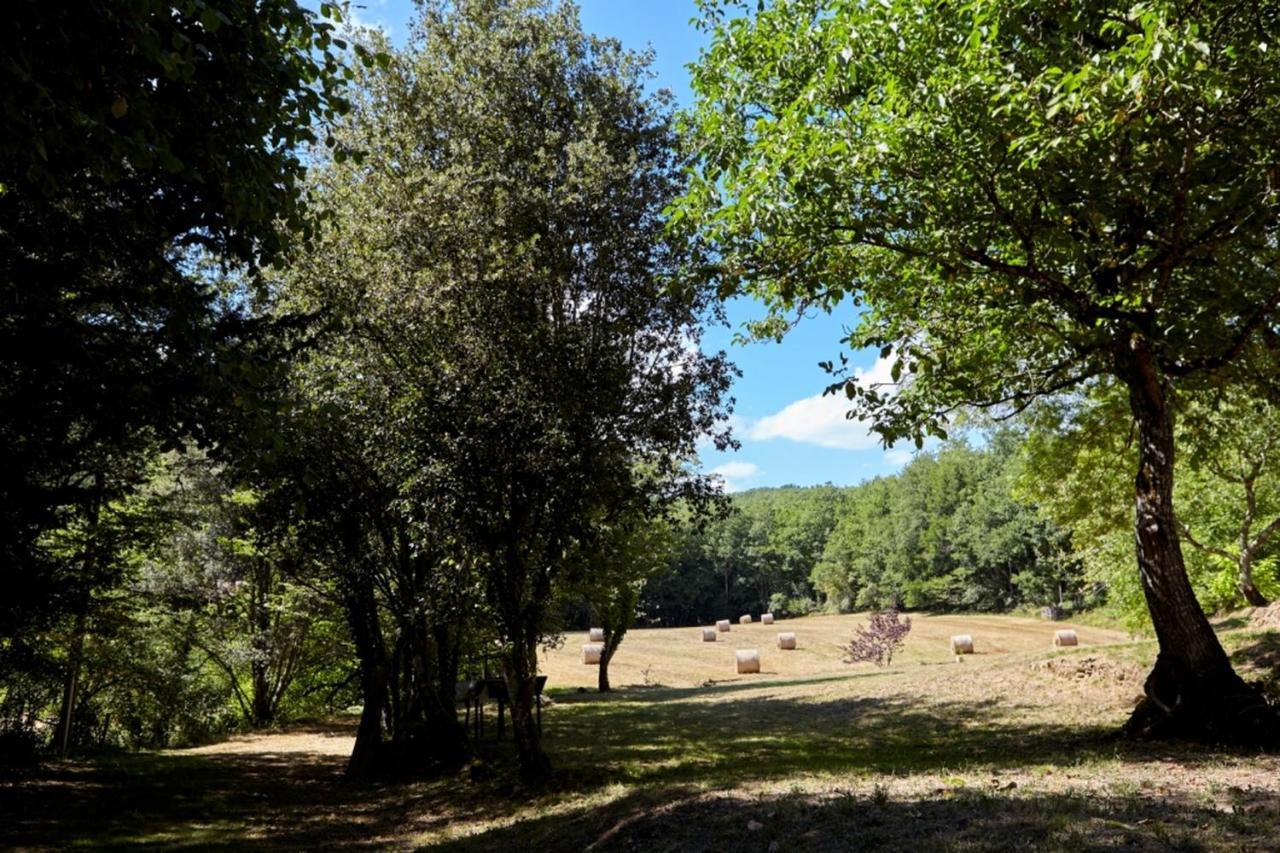 Domaine De Cantegrel - Gites De Charme Et Suite Troglodyte En Perigord فيتراك المظهر الخارجي الصورة