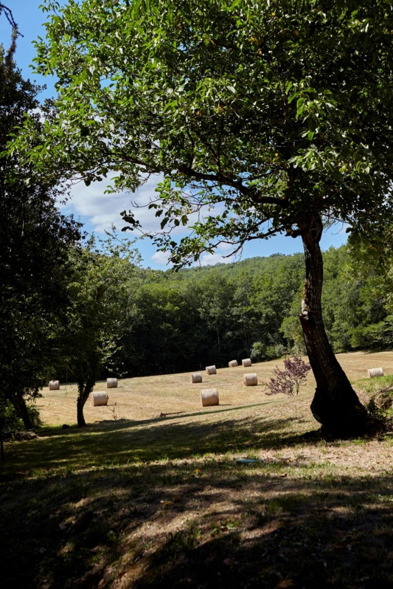 Domaine De Cantegrel - Gites De Charme Et Suite Troglodyte En Perigord فيتراك المظهر الخارجي الصورة